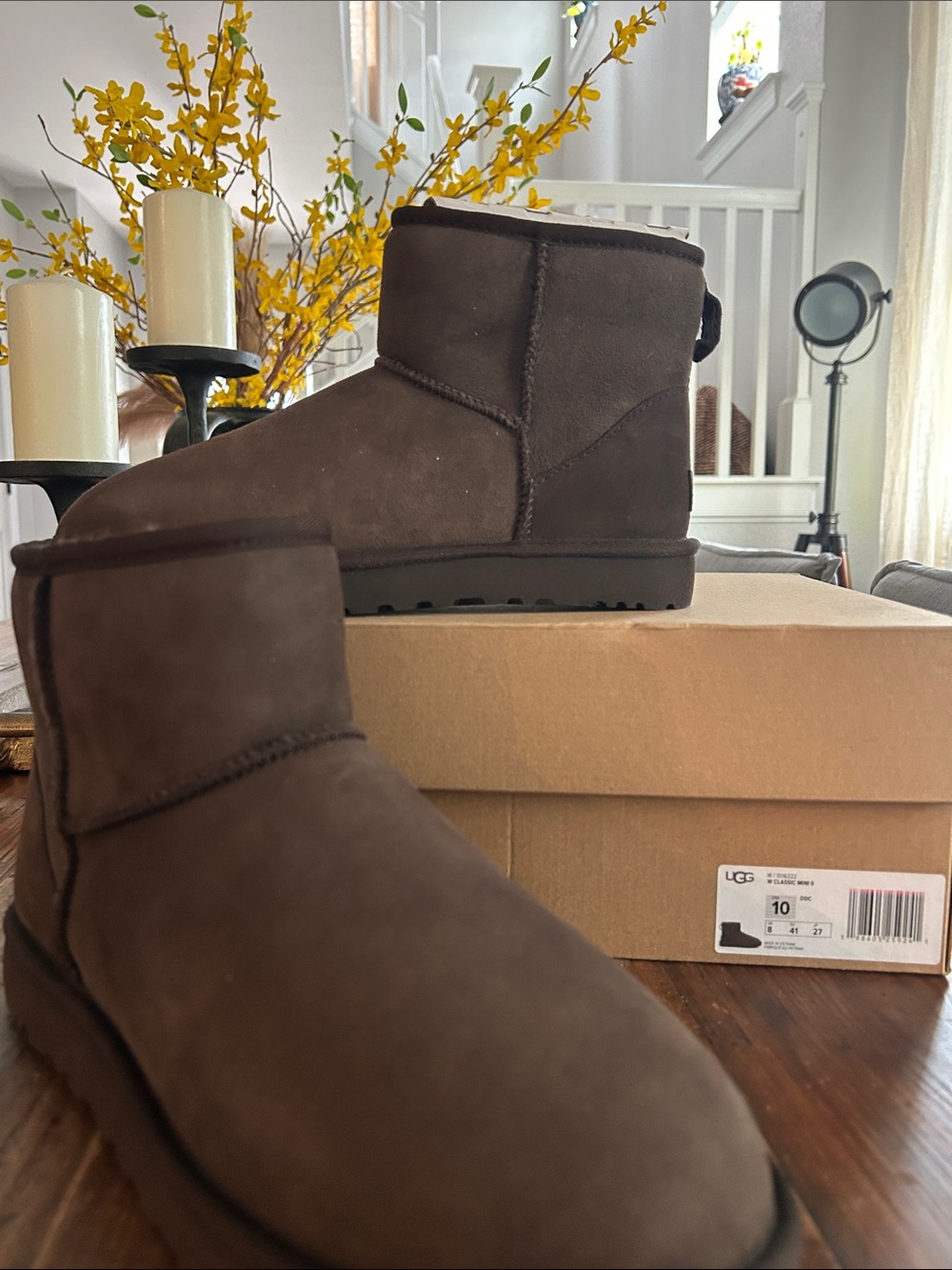UGG Mini Booties in Chocolate Brown Suede